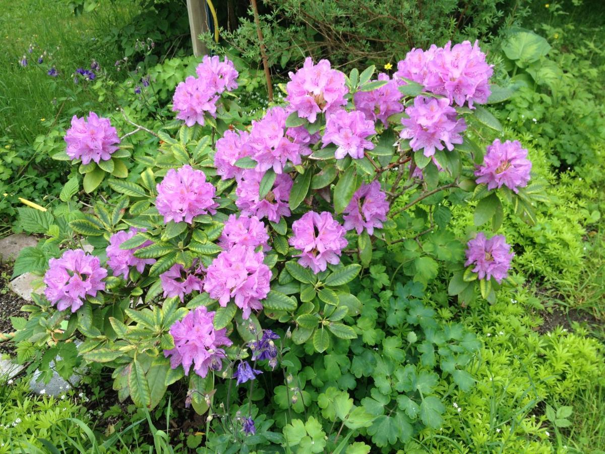 Malmgardens Vandrarhem Strängnäs